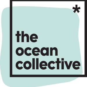 Offizielles Markenzeichen von The Ocean Collective: Dein Experte für Segeltörns | Offshore-Meilentörn & Praxis-Skippertraining